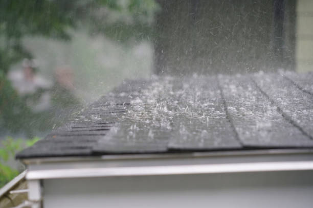 Best Solar Panel Roofing Installation  in Kimball, NE